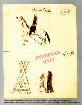 Iron Tail Drawing Exemplar